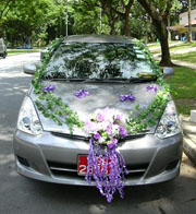 wedding Car